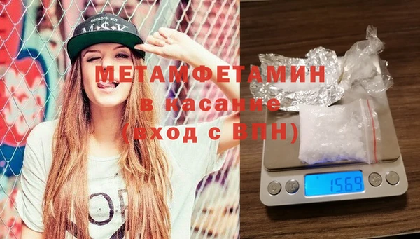 индика Елизово