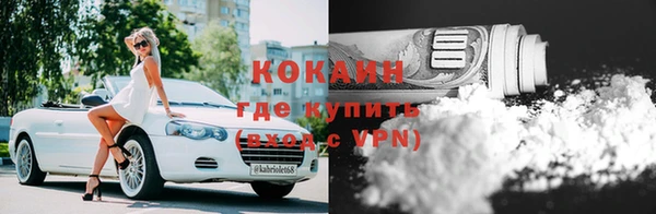 индика Елизово