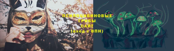 индика Елизово