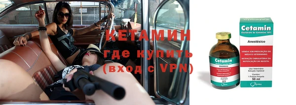 индика Елизово