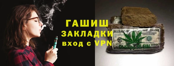 индика Елизово