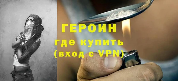 индика Елизово