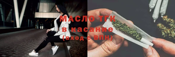 индика Елизово