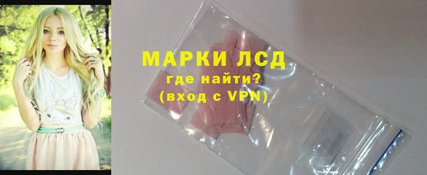 индика Елизово