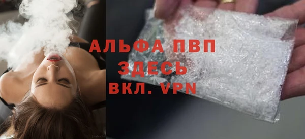 индика Елизово