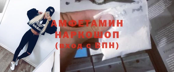 индика Елизово