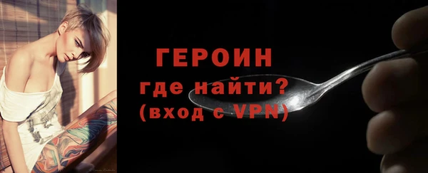 индика Елизово