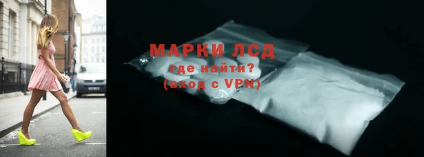 индика Елизово