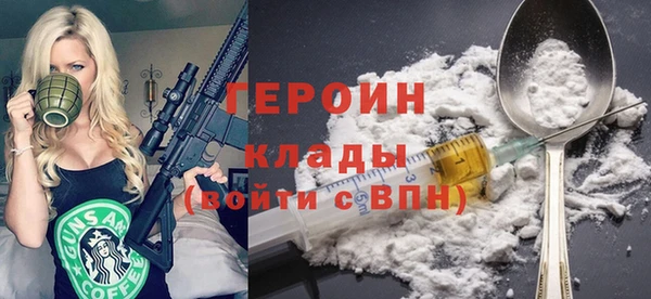 индика Елизово