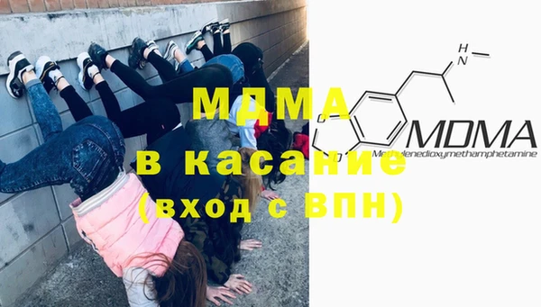 индика Елизово