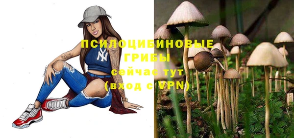 гашиш Ельня