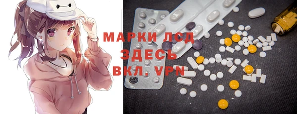 индика Елизово
