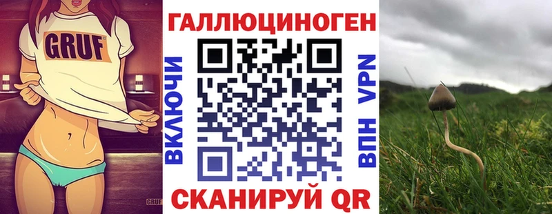 Галлюциногенные грибы прущие грибы  Купить закладки  Егорьевск 